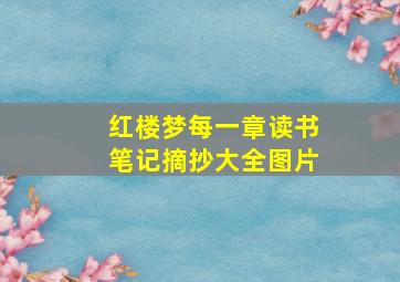 红楼梦每一章读书笔记摘抄大全图片