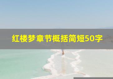 红楼梦章节概括简短50字