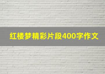 红楼梦精彩片段400字作文