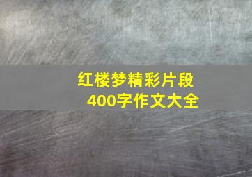 红楼梦精彩片段400字作文大全