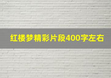 红楼梦精彩片段400字左右