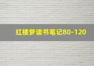 红楼梦读书笔记80-120