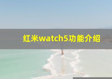 红米watch5功能介绍