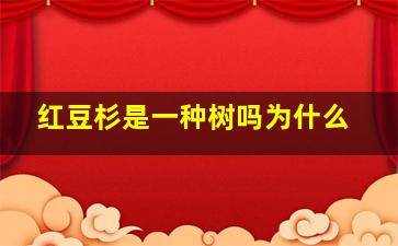 红豆杉是一种树吗为什么