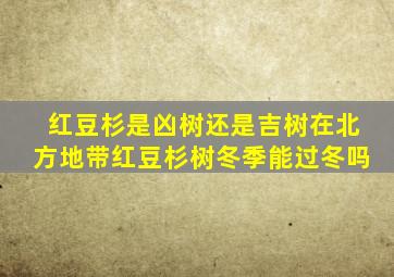 红豆杉是凶树还是吉树在北方地带红豆杉树冬季能过冬吗