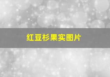 红豆杉果实图片