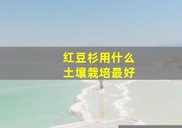 红豆杉用什么土壤栽培最好