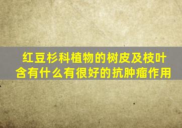 红豆杉科植物的树皮及枝叶含有什么有很好的抗肿瘤作用