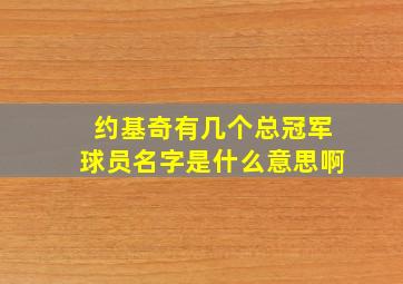 约基奇有几个总冠军球员名字是什么意思啊