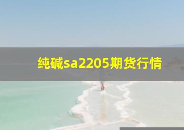 纯碱sa2205期货行情