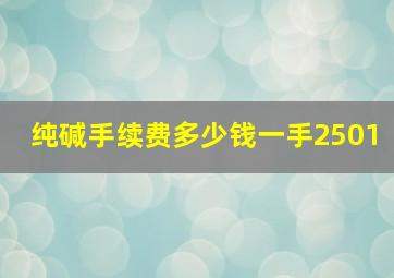 纯碱手续费多少钱一手2501