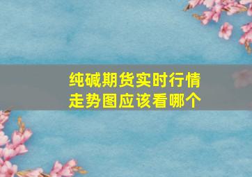 纯碱期货实时行情走势图应该看哪个