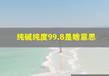 纯碱纯度99.8是啥意思