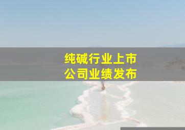 纯碱行业上市公司业绩发布