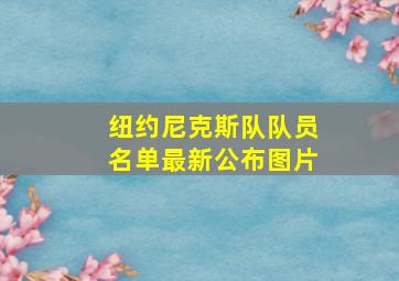 纽约尼克斯队队员名单最新公布图片