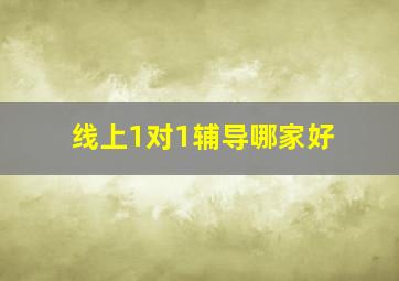 线上1对1辅导哪家好