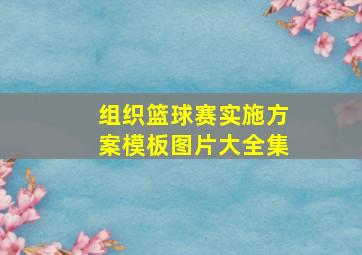 组织篮球赛实施方案模板图片大全集