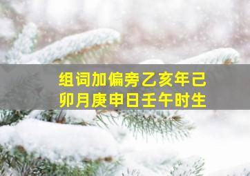 组词加偏旁乙亥年己卯月庚申日壬午时生