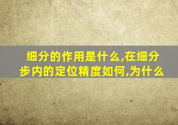 细分的作用是什么,在细分步内的定位精度如何,为什么