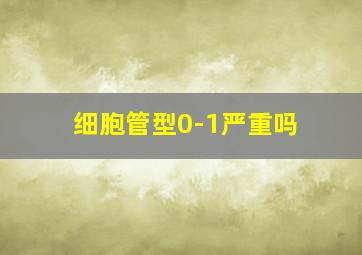 细胞管型0-1严重吗