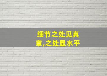 细节之处见真章,之处显水平