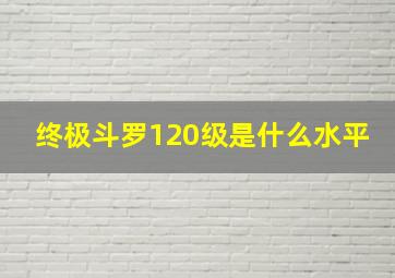 终极斗罗120级是什么水平