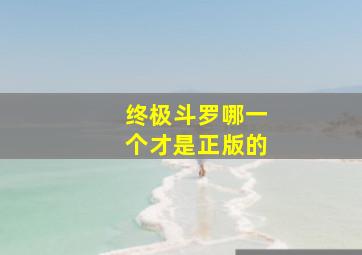 终极斗罗哪一个才是正版的