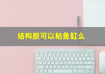 结构胶可以粘鱼缸么