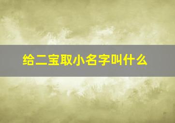 给二宝取小名字叫什么