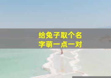 给兔子取个名字萌一点一对