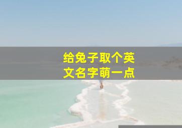 给兔子取个英文名字萌一点