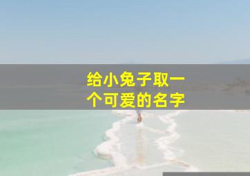 给小兔子取一个可爱的名字