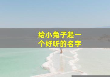 给小兔子起一个好听的名字