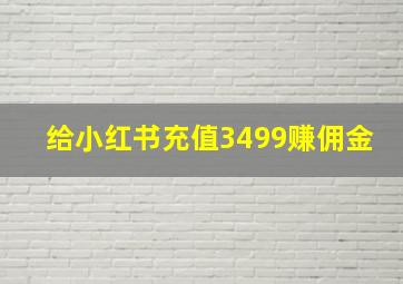 给小红书充值3499赚佣金