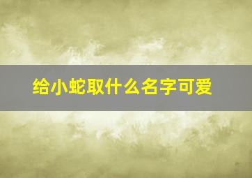 给小蛇取什么名字可爱