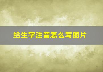 给生字注音怎么写图片