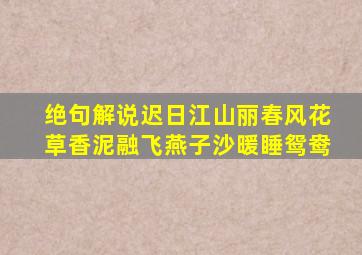 绝句解说迟日江山丽春风花草香泥融飞燕子沙暖睡鸳鸯