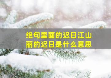 绝句里面的迟日江山丽的迟日是什么意思