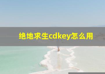 绝地求生cdkey怎么用