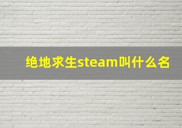 绝地求生steam叫什么名