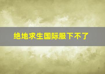 绝地求生国际服下不了