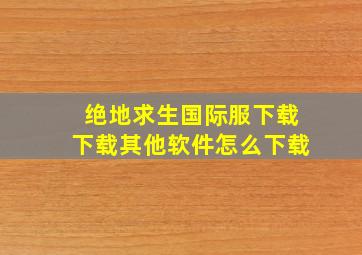 绝地求生国际服下载下载其他软件怎么下载