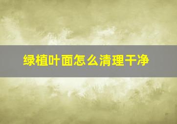 绿植叶面怎么清理干净