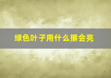 绿色叶子用什么擦会亮