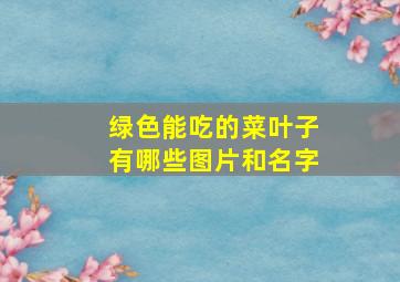 绿色能吃的菜叶子有哪些图片和名字