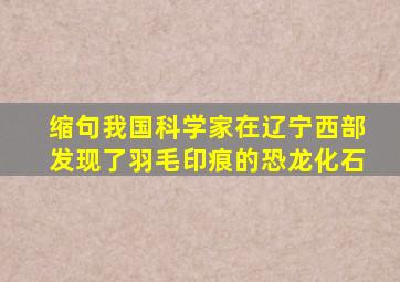 缩句我国科学家在辽宁西部发现了羽毛印痕的恐龙化石