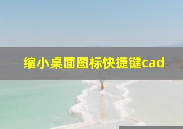 缩小桌面图标快捷键cad