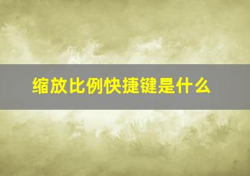 缩放比例快捷键是什么