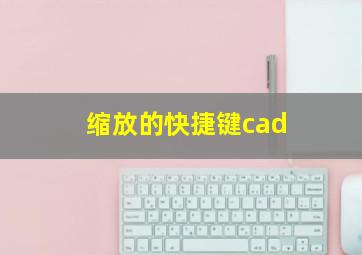 缩放的快捷键cad