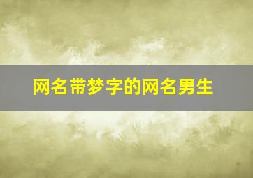 网名带梦字的网名男生